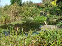 retreatpond
